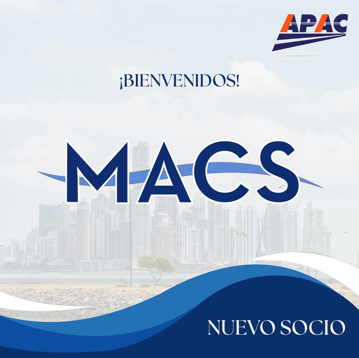imagen-p